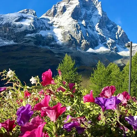 Coin Au Paradis *