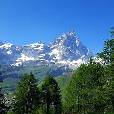 Coin Au Paradis * 브루일서비니아