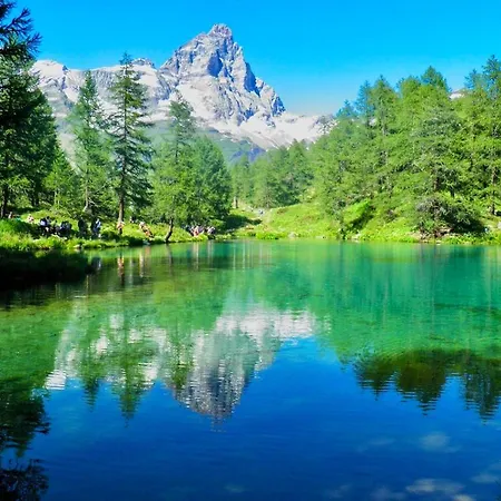 아파트 Coin Au Paradis *