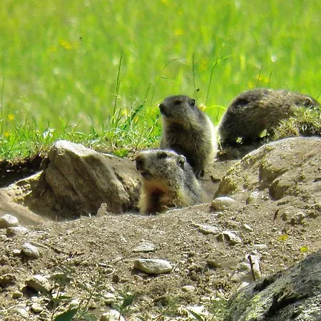 아파트 Coin Au Paradis *