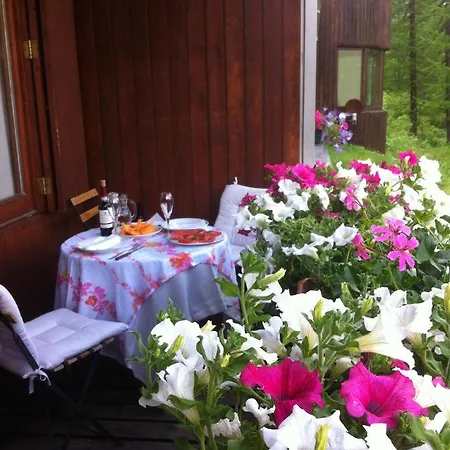 Coin Au Paradis 브루일서비니아